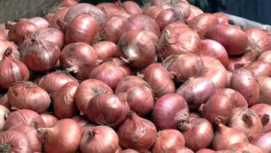 আবারো বেড়েছে পেঁয়াজের দাম