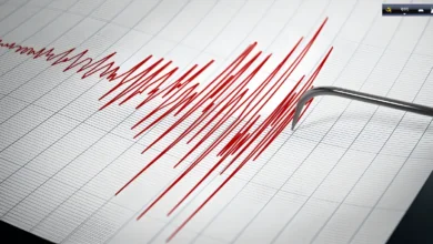 ভূমিকম্প হলে কী করা উচিত, কী করা উচিত না?