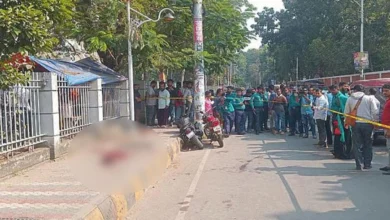 আদালত চত্বরে দুর্বৃত্তের গুলিতে দুইজন নিহত