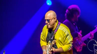 পাকিস্তানের আলী আজমতের কনসার্ট স্থগিত