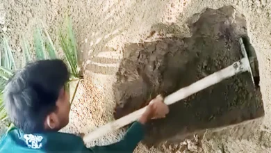 মোবাইল ফোন উদ্ধারে কবর খুঁড় যুবক