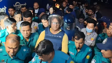 সাংবাদিক আনিস আলমগীর ৫ দিনের রিমান্ডে