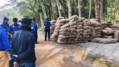 নলছিটিতে ৪৫০ বস্তা আলু জব্দ করেছে পুলিশ
