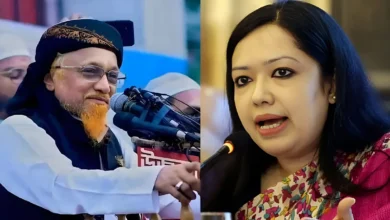 রুমিন ফারহানার আসন পেলেন জমিয়তের জুনায়েদ আল হাবিব