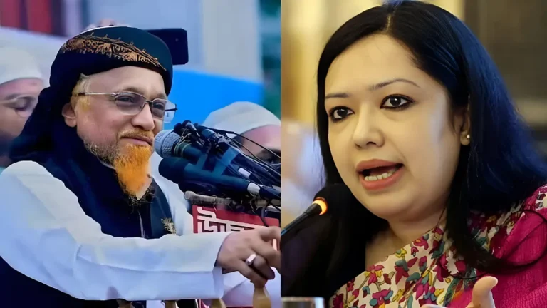 রুমিন ফারহানার আসন পেলেন জমিয়তের জুনায়েদ আল হাবিব