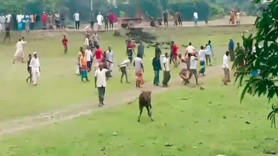 ইজিবাইকের ভাড়া নিয়ে দুই পক্ষের সংঘর্ষ, আহত ৩০