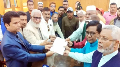 মনোনয়নপত্র সংগ্রহ করেছেন বিএনপি চেয়ারপারসনের উপদেষ্টা