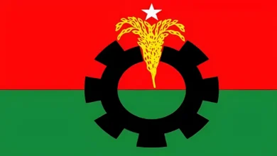 যেসব আসনে প্রার্থী পরিবর্তন করল বিএনপি