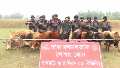 পানছড়ি সীমান্তে বিজিবির অভিযানে ১১টি ভারতীয় গরু ও চোরাকারবারি আটক