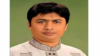 স্বতন্ত্র প্রার্থী হওয়ায় বিএনপি থেকে বহিষ্কার হাসান মামুন