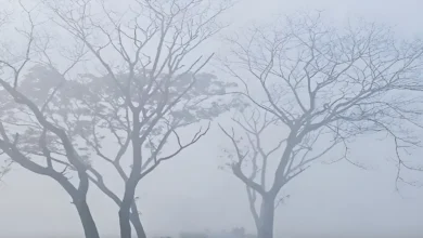কাল থেকে তাপমাত্রা কোথাও কোথাও নামতে পারে ৫ ডিগ্রিতে