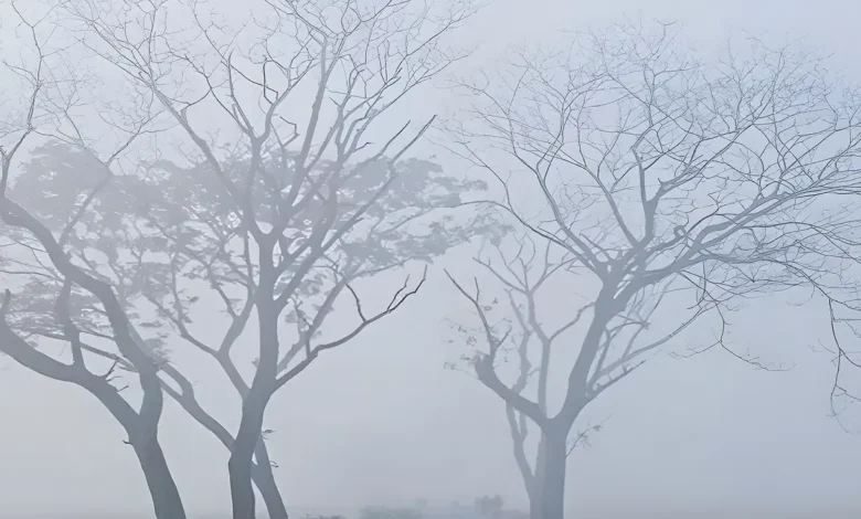কাল থেকে তাপমাত্রা কোথাও কোথাও নামতে পারে ৫ ডিগ্রিতে