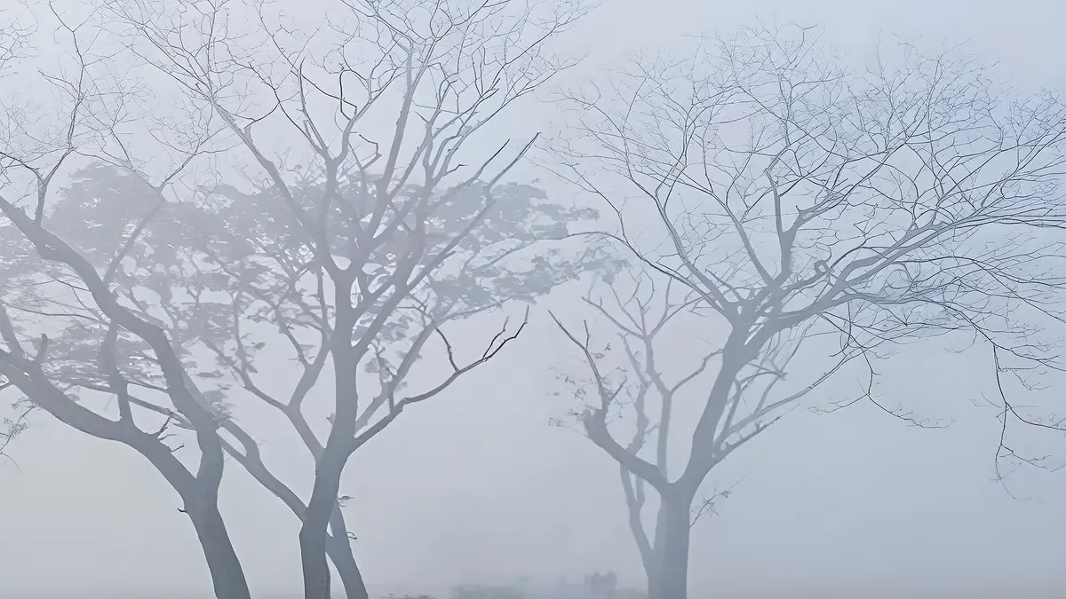 কাল থেকে তাপমাত্রা কোথাও কোথাও নামতে পারে ৫ ডিগ্রিতে