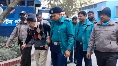 শাপলা চত্বরে গণহত্যার মামলায় ট্রাইব্যুনালে শাহরিয়ার কবির