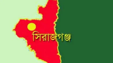 সলঙ্গায় ট্রান্সফর্মার প্রতিস্থাপন করতে গিয়ে বিদ্যুৎপৃষ্টে পরিচ্ছন্ন কর্মীর মৃত্যু