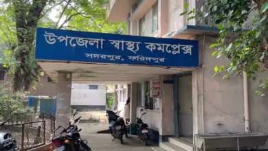 সদরপুরে পাগলা কুকুরের কামড়ে ৯ জন আহত, এলাকায় আতঙ্ক