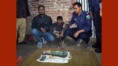 নামাজের ফাঁকে টিসিবির টাকা লুট করলো যুবদল কর্মী