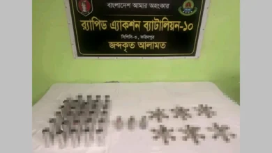 ফরিদপুরে পরিত্যক্ত অবস্থায় পুলিশের লুট হওয়া গ্রেনেড ও গোলাবারুদ উদ্ধার