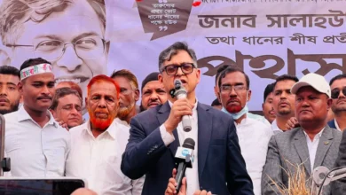 গণতন্ত্রকে শক্তিশালী করার জন্য বিএনপিকে ভোট দিন সালাহউদ্দিন আহমেদ