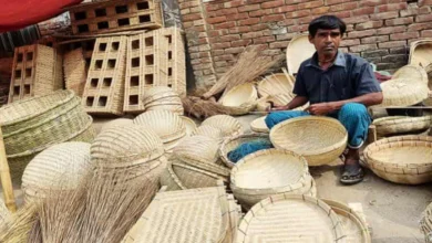 সাপাহারে আধুনিকতার ছোঁয়ায় বিলুপ্তির পথে বাঁশ-বেতের কারুশিল্প