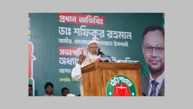 কালো চিল ভোটে ছোঁ মারলে ডানা খুলে ফেলবেন