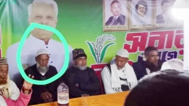 ধানের শীষের প্রচারে সুবর্ণচরে মা-মেয়েকে ধর্ষণ মামলার মূল আসামি