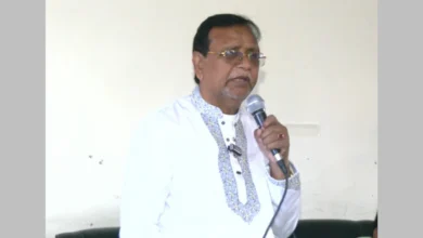 দেশকে আফগানিস্তান হওয়া থেকে বাঁচাতে বিএনপিকে জয়ী করুন