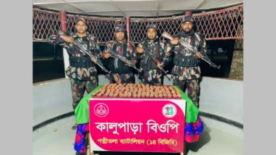 ১৪ বিজিবির অভিযানে সীমান্তে কঠোর নজরদারিতে বিপুল পরিমাণ ট্যাপেন্টাডল ট্যাবলেট উদ্ধার