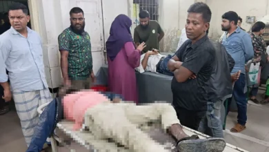 গাছ ভেঙে পড়ে পথচারীর মৃত্যু