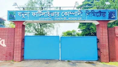 ইঁদুরে তার কাটায় যমুনা সার কারখানায় উৎপাদন বন্ধ