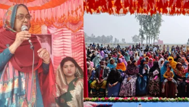 রামকৃষ্ণপুর ইউনিয়ন বিএনপির নির্বাচনী মতবিনিময় সভা অনুষ্ঠিত