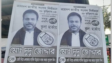 ভুয়া’ এমপি প্রার্থীর প্রচারণায় ভোটারদের মাঝে বিভ্রান্তি