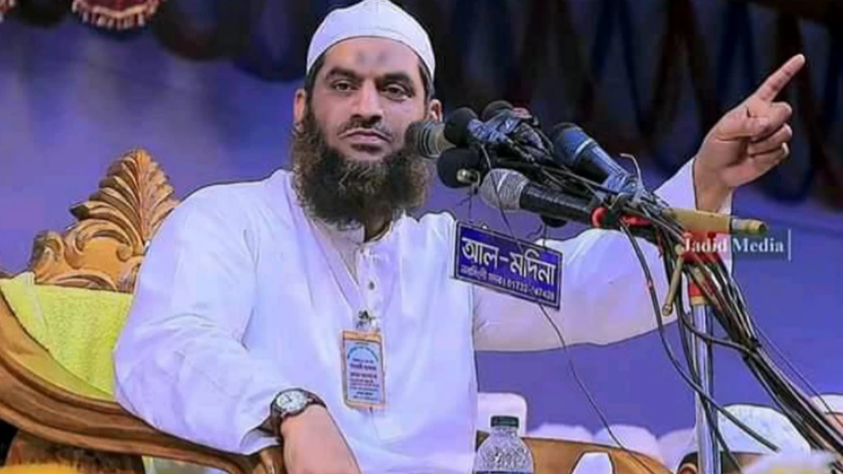 ৮ ফেব্রুয়ারি বিটিভিতে জাতির উদ্দেশে ভাষণ দেবেন আল্লামা মামুনুল হক