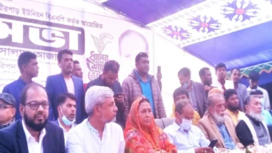 দিঘীরপাড়ে বাজারে বিএনপির নির্বাচনী জনসভা