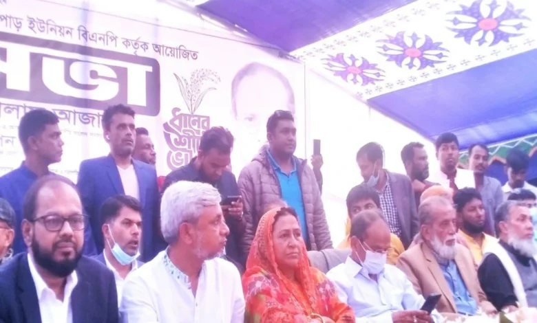 দিঘীরপাড়ে বাজারে বিএনপির নির্বাচনী জনসভা