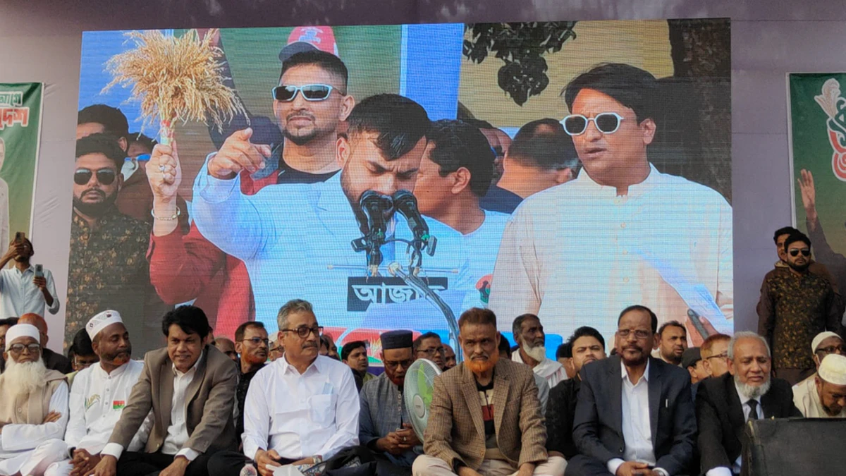 বিএনপি  জনগণের আস্থা অর্জন করেছে হারুনুর রশীদ