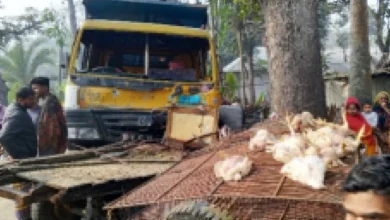 পুঠিয়ায় নছিমন-ড্রাম ট্রাকের মুখোমুখি সংঘর্ষে ২ জনের মৃত্যু