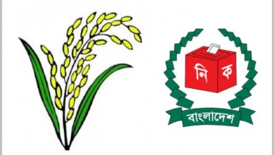 ঢাকা-১ আসনে ধানের শীষ এগিয়ে
