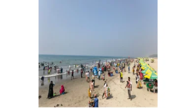 স্বয়ংক্রিয় খসড়া