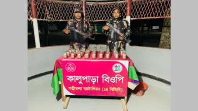 ১৪ বিজিবি কর্তৃক ধামইরহাট সীমান্তে বিজিবির অভিযানে ৩৯ বোতল ভারতীয় মদ উদ্ধার