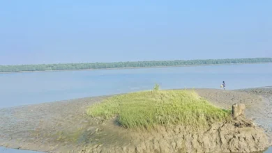স্বয়ংক্রিয় খসড়া