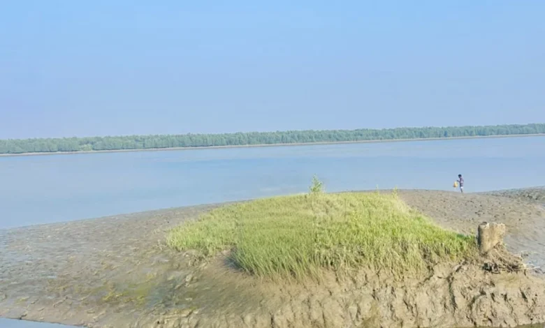স্বয়ংক্রিয় খসড়া