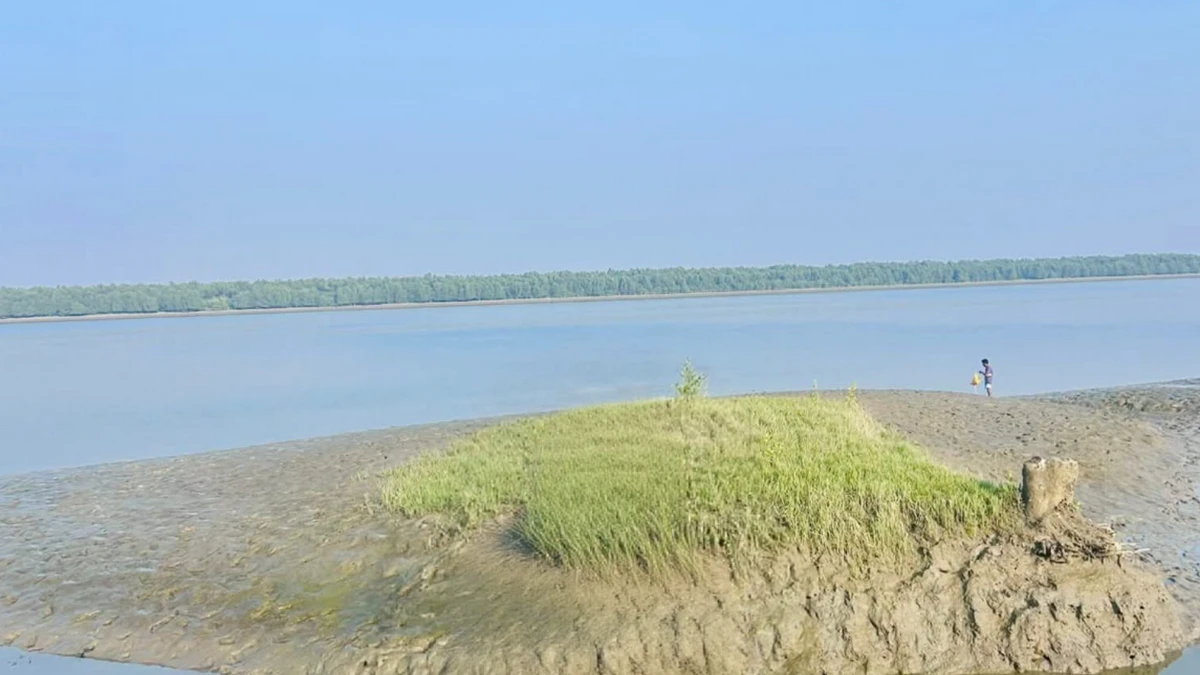 স্বয়ংক্রিয় খসড়া