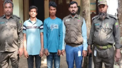 ঈদগাঁওয়ে বনবিভাগের অভিযানে দুই কাঠচোর গ্রেপ্তার-কর্তিত গাছ উদ্ধার