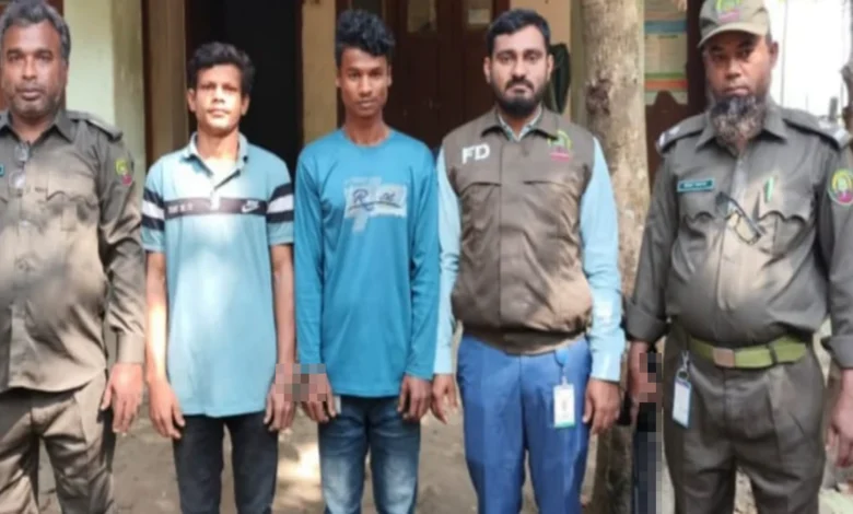 ঈদগাঁওয়ে বনবিভাগের অভিযানে দুই কাঠচোর গ্রেপ্তার-কর্তিত গাছ উদ্ধার