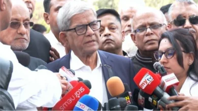পিলখানা হত্যাকাণ্ড বাংলাদেশের ইতিহাসে এক কালো অধ্যায়: মির্জা ফখরুল