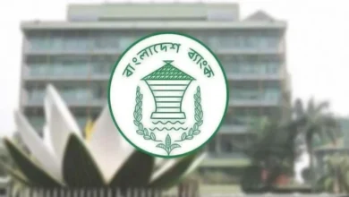 শ্রমিকদের বেতন দিতে বিশেষ ঋণ সুবিধা দিলো বাংলাদেশ ব্যাংক