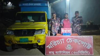 মরিচ্যা চেকপোস্টে ৬০ লাখ টাকার ইয়াবাসহ চালক আটক করেছে বিজিবি