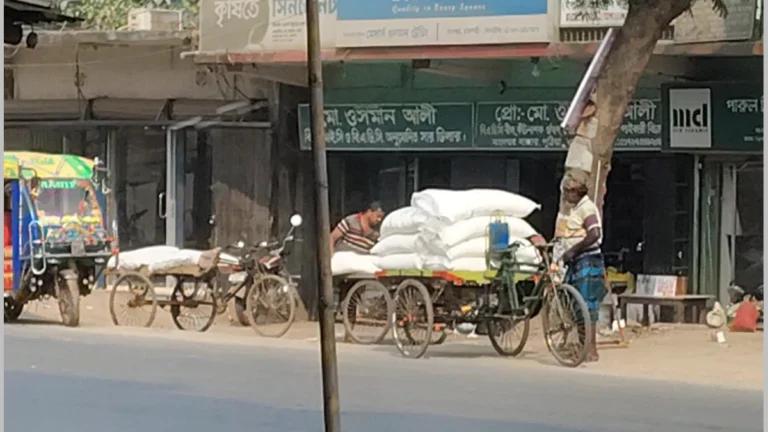 কৃষক যখন সারের অপেক্ষায়, ডিলার তখন ভ্যানে করে সার পাচারে ব্যস্ত