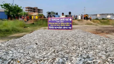 পদ্মা সেতুর সামনে বাস তল্লাশি করে ২০ লাখ টাকার জাটকা জব্দ